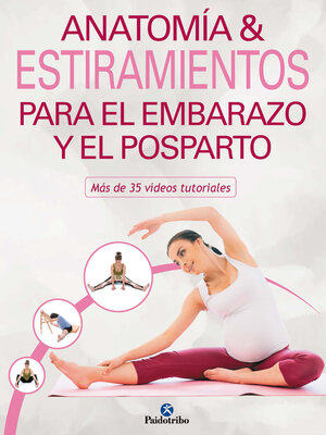 cover image of Anatomía & estiramientos para el embarazo y el posparto (Color)